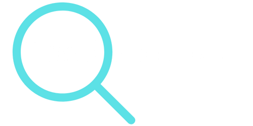 saasinspectors.com